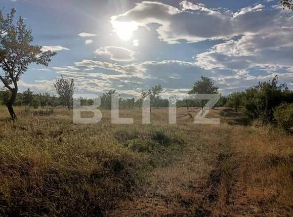 Teren extravilan 2900 mp, Dobrovat, jud. Iasi | Poza3