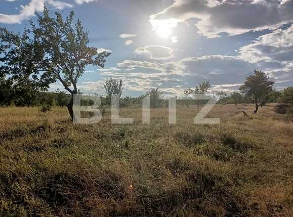 Teren extravilan 2900 mp, Dobrovat, jud. Iasi | Poza1