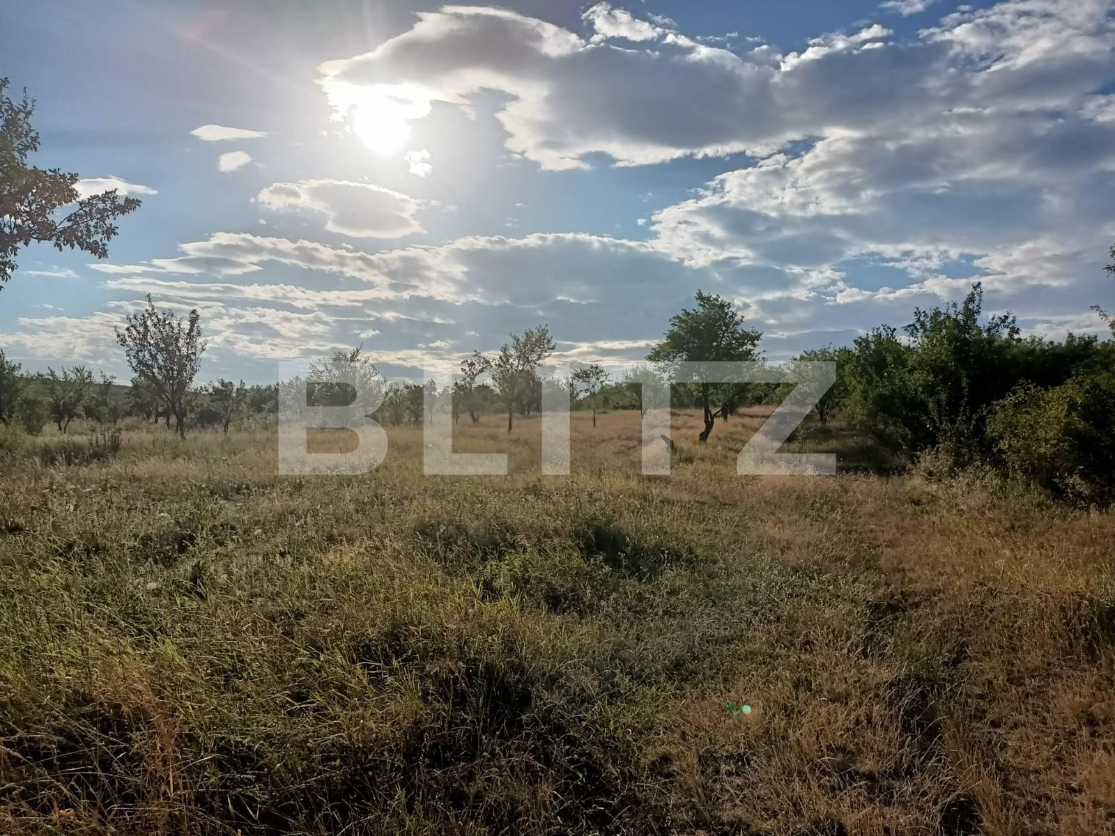 Teren extravilan 2900 mp, Dobrovat, jud. Iasi | Poza2