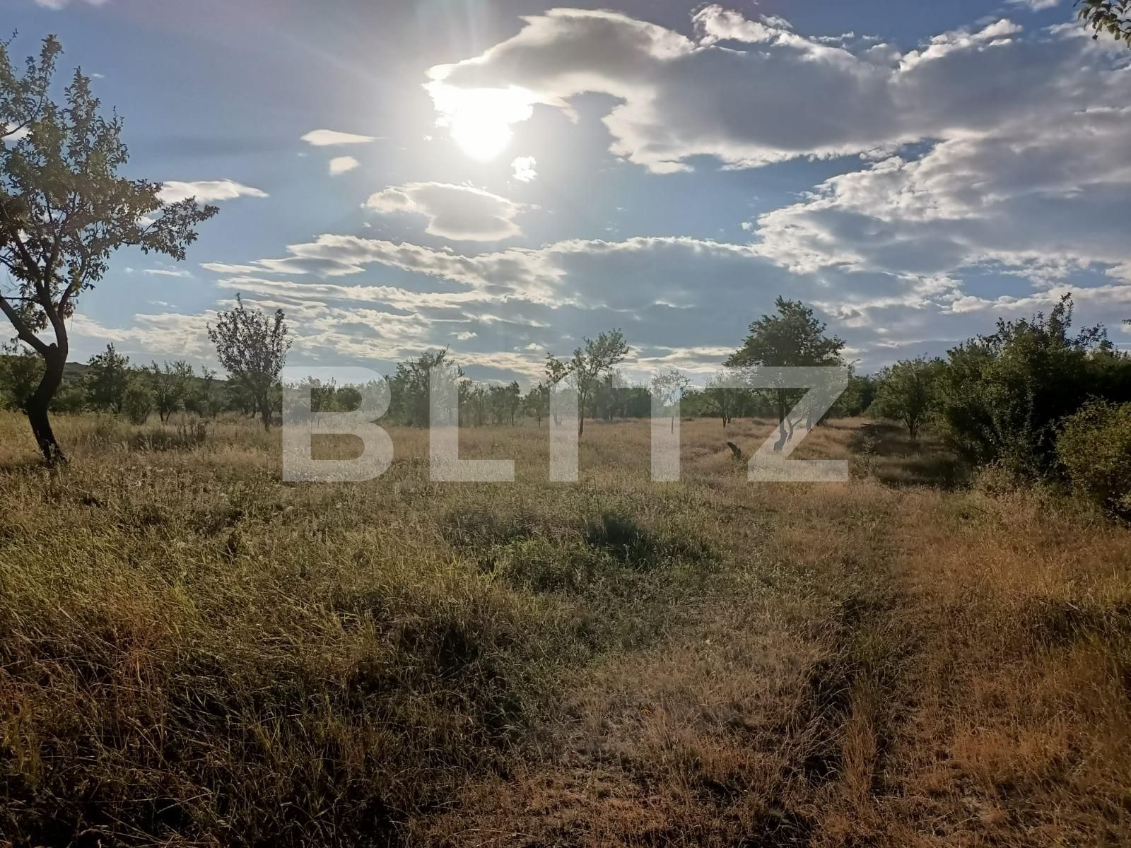 Teren extravilan 2900 mp, Dobrovat, jud. Iasi | Poza3