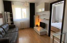 Apartament de 2 camere, 35mp, etaj intermediar, Tatarasi