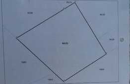 Ocazia lunii! Teren 544mp, proiect+autorizatie,Valea Adanca