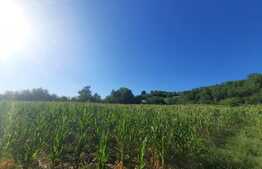 Teren 1600 mp, intravilan, Dobrovat 