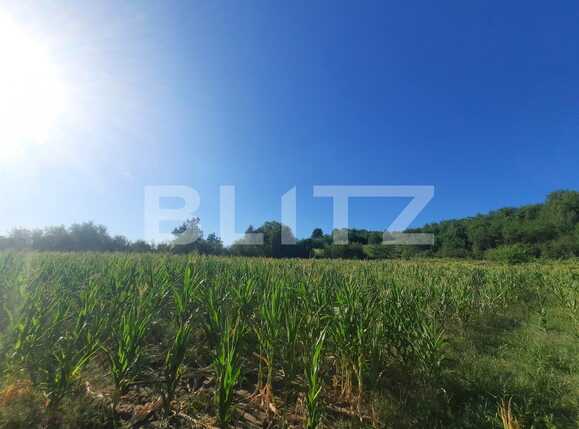 Teren de vânzare Exterior Sud - 92412TV | BLITZ Iași | Poza2