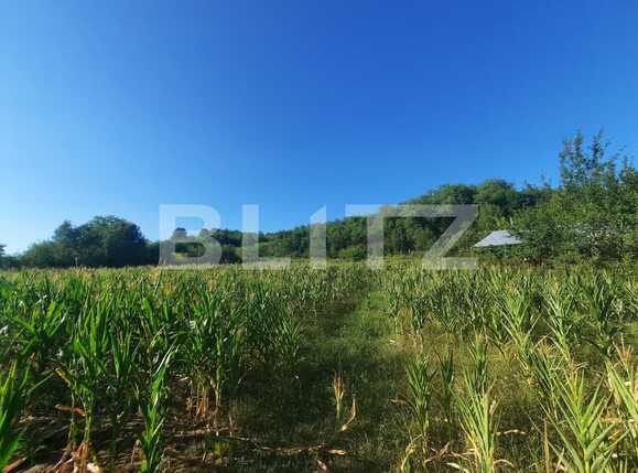 Teren de vânzare Exterior Sud - 92412TV | BLITZ Iași | Poza1