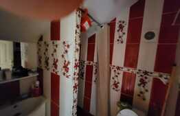 Casa cu vad comercial, 125 mp utili, zona Bucium