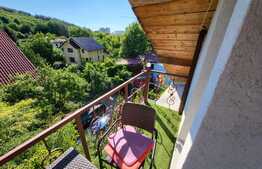 Casa cu vad comercial, 125 mp utili, zona Bucium