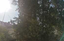 Casa in zona ultracentrala, 105 mp teren