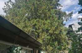 Casa in zona ultracentrala, 105 mp teren