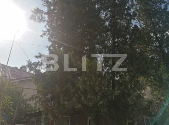 Casa de vânzare 3 camere Central - 92592CV | BLITZ Iași | Poza3