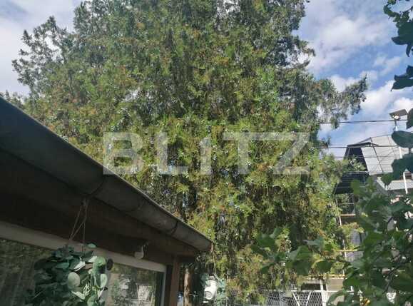 Casa de vânzare 3 camere Central - 92592CV | BLITZ Iași | Poza1