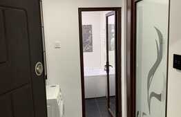 Apartament de 1 camera, 27 mp, decomandat, zona Alexandru cel Bun