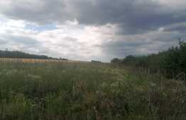 Teren 1000 mp Poieni, langa padure