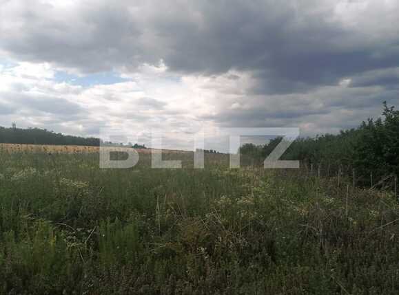 Teren de vânzare Exterior Sud - 92831TV | BLITZ Iași | Poza1