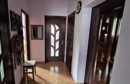 Apartament 2 camere, decomandat, 44mp, 120 mp teren, zona centrala