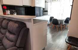 Apartament 3 camere, 68 mp, 2 terase, zona Pacurari