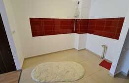 Apartament 2 camere, 50mp, zona Kaufland Tatarasi