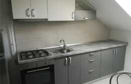 Apartament 2 camere, decomandat, 40 mp, zona Palas