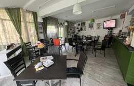 Info de 15 camere, 800 mp, 600 mp teren, prosumator, Copou