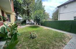 Info de 15 camere, 800 mp, 600 mp teren, prosumator, Copou