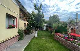 Info de 15 camere, 800 mp, 600 mp teren, prosumator, Copou