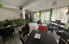 Info de 15 camere, 800 mp, 600 mp teren, prosumator, Copou