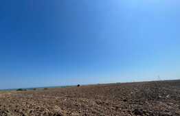 Teren 4.3 ha, extravilan, situat la malul marii, Corbu Constanta