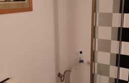 Casa de vanzare cu 4 camere, 120 mp, 1140 mp, Exterior Est