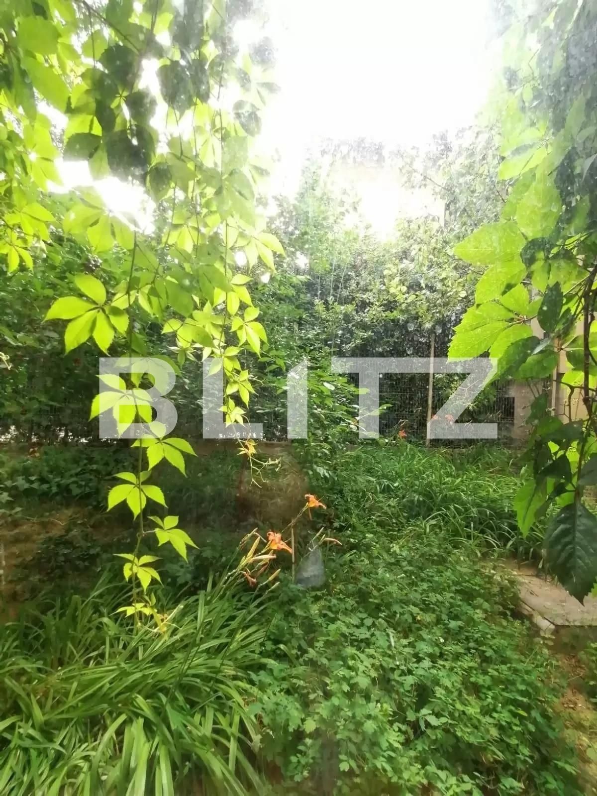 Apartament de închiriat 2 camere Copou - 93088AI | BLITZ Iași | Poza2