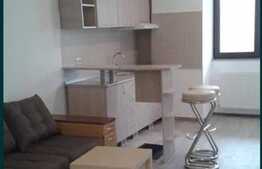 Apartament de 1 camera, 33 mp, ultra-central in zona Palat