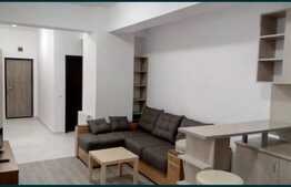 Apartament de 1 camera, 33 mp, ultra-central in zona Palat