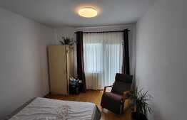 Proprietate cu 2 case in aceeasi curte, 600 mp, zona Visan