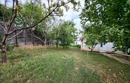 Proprietate cu 2 case in aceeasi curte, 600 mp, zona Visan