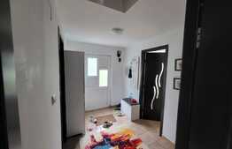 Proprietate cu 2 case in aceeasi curte, 600 mp, zona Visan