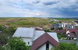 Proprietate cu 2 case in aceeasi curte, 600 mp, zona Visan