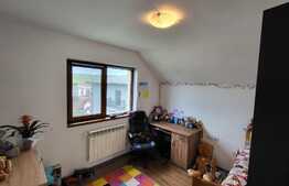 Proprietate cu 2 case in aceeasi curte, 600 mp, zona Visan