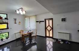 Proprietate cu 2 case in aceeasi curte, 600 mp, zona Visan