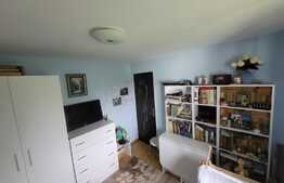 Proprietate cu 2 case in aceeasi curte, 600 mp, zona Visan