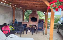 Proprietate cu 2 case in aceeasi curte, 600 mp, zona Visan