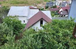 Proprietate cu 2 case in aceeasi curte, 600 mp, zona Visan