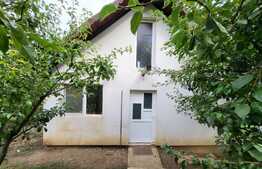 Proprietate cu 2 case in aceeasi curte, 600 mp, zona Visan