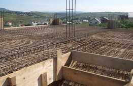 Proprietate cu 2 case in aceeasi curte, 600 mp, zona Visan