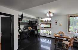 Proprietate cu 2 case in aceeasi curte, 600 mp, zona Visan