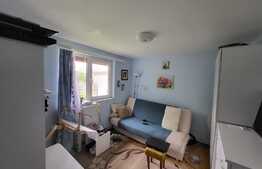 Proprietate cu 2 case in aceeasi curte, 600 mp, zona Visan