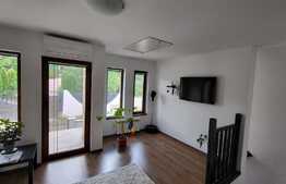 Proprietate cu 2 case in aceeasi curte, 600 mp, zona Visan