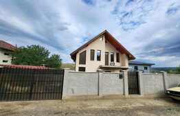 Proprietate cu 2 case in aceeasi curte, 600 mp, zona Visan