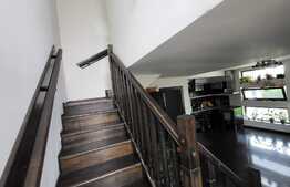 Proprietate cu 2 case in aceeasi curte, 600 mp, zona Visan