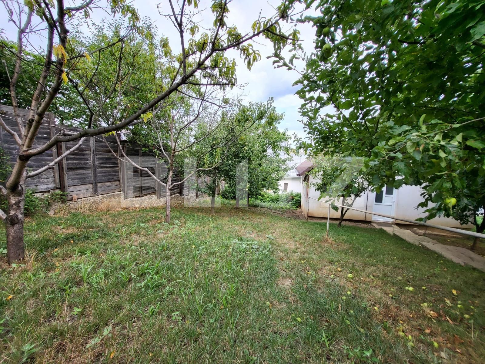 Casa de vânzare 4 camere Visani - 93233CV | BLITZ Iași | Poza14