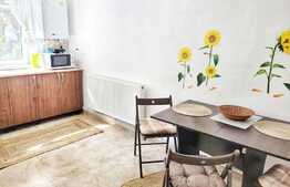 Apartament de 2 camere, semidecomandat, 45 mp, Ultracentral