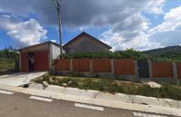 Teren intravilan 7400 mp+ casa din BCA, Rediu-Scanteia